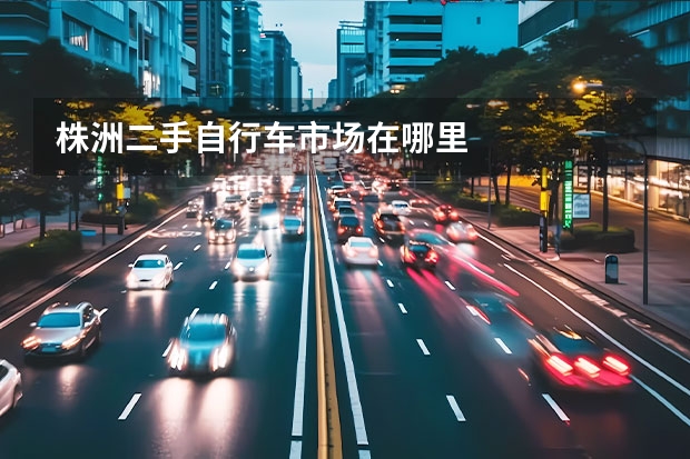株洲二手自行车市场在哪里