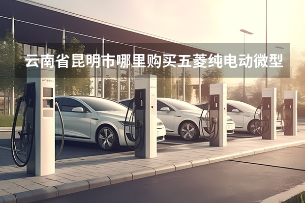 云南省昆明市哪里购买五菱纯电动微型小货车
