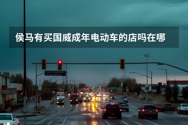 侯马有买国威成年电动车的店吗在哪