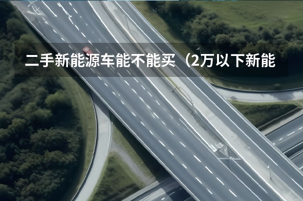 二手新能源车能不能买（2万以下新能源电动汽车）