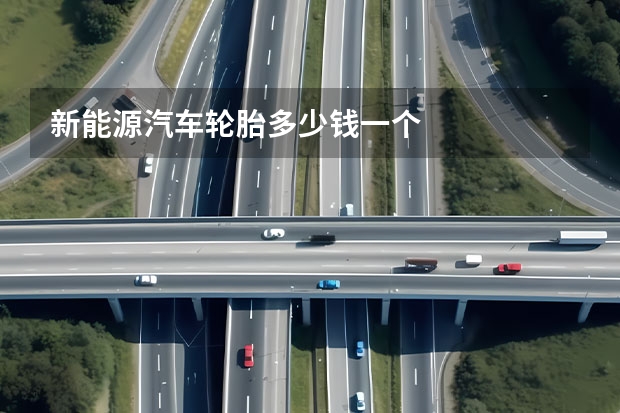 新能源汽车轮胎多少钱一个