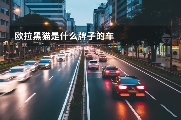 欧拉黑猫是什么牌子的车