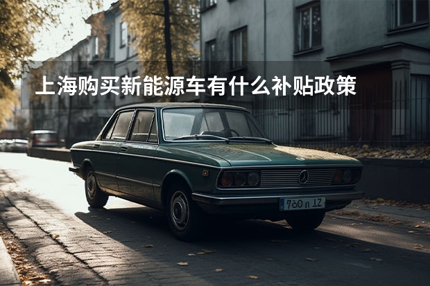 上海购买新能源车有什么补贴政策