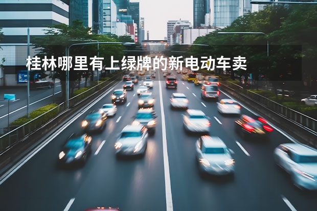 桂林哪里有上绿牌的新电动车卖