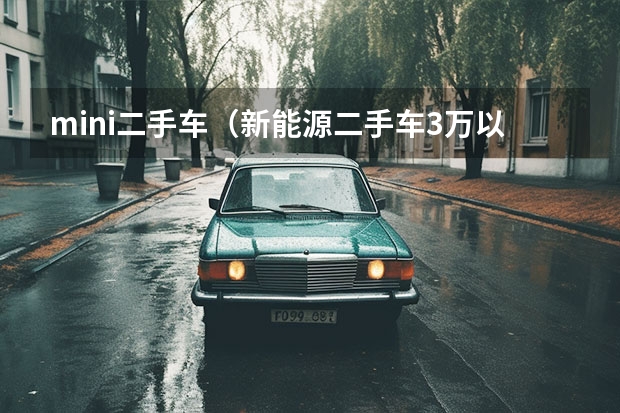 mini二手车（新能源二手车3万以内）