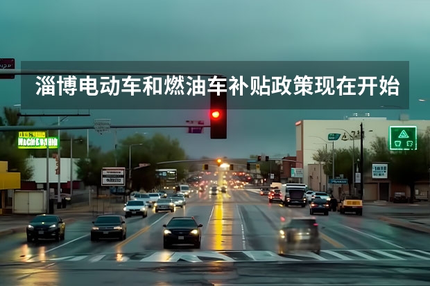 淄博电动车和燃油车补贴政策现在开始执行了吗？