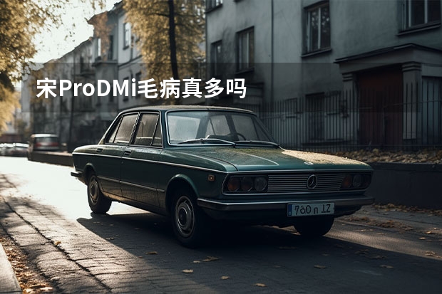 宋ProDMi毛病真多吗