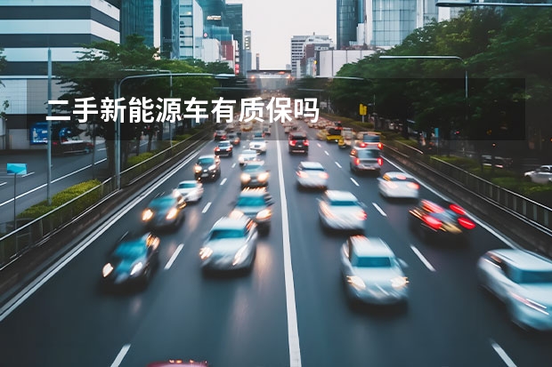 二手新能源车有质保吗