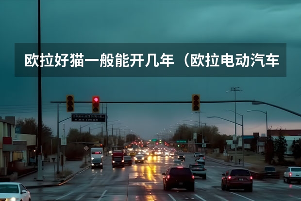 欧拉好猫一般能开几年（欧拉电动汽车价格及图片）