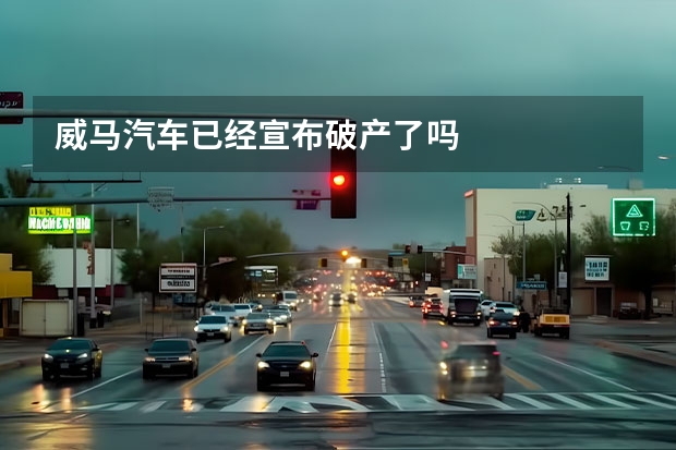 威马汽车已经宣布破产了吗
