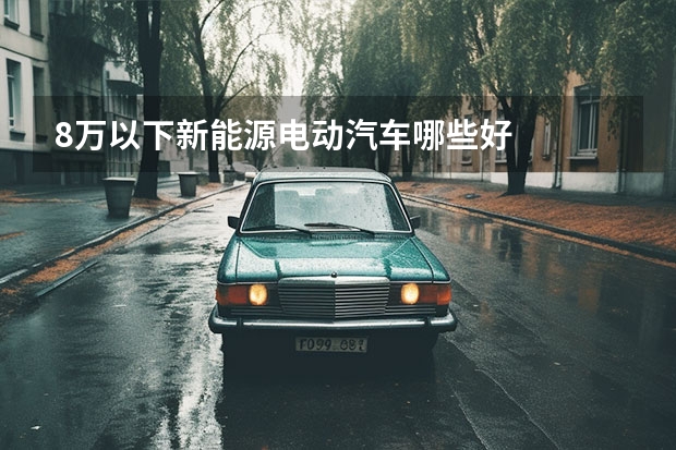 8万以下新能源电动汽车哪些好