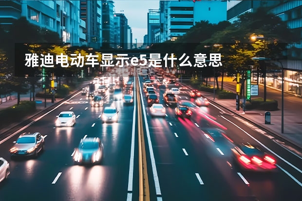 雅迪电动车显示e5是什么意思