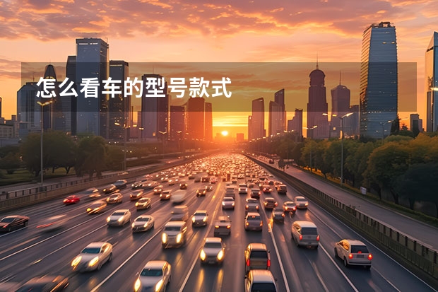 怎么看车的型号款式