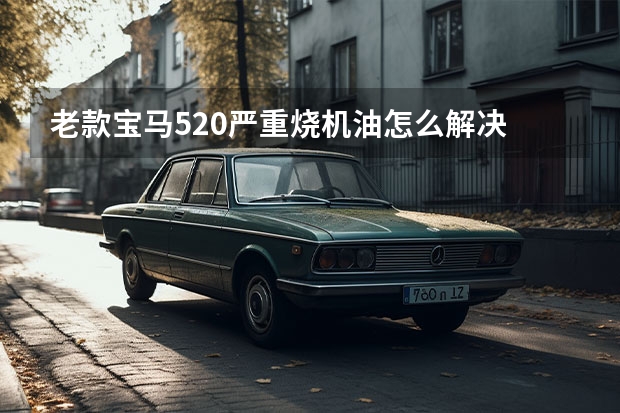 老款宝马520严重烧机油怎么解决
