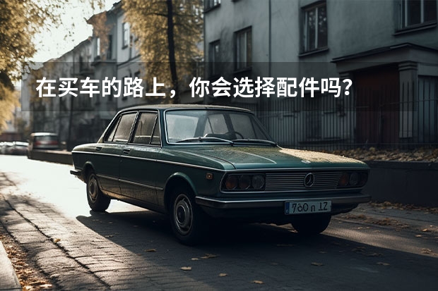 在买车的路上，你会选择配件吗？
