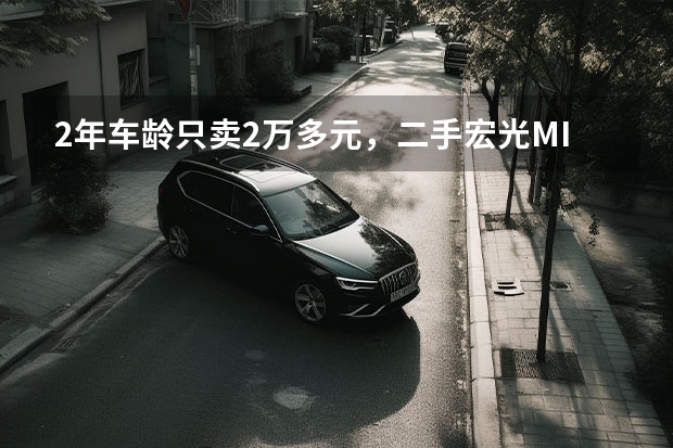 2年车龄只卖2万多元，二手宏光MINIEV比新车更值？ 2万以下新能源电动汽车