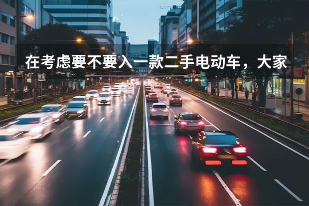 在考虑要不要入一款二手电动车，大家有什么推荐吗，国产品牌，质量好