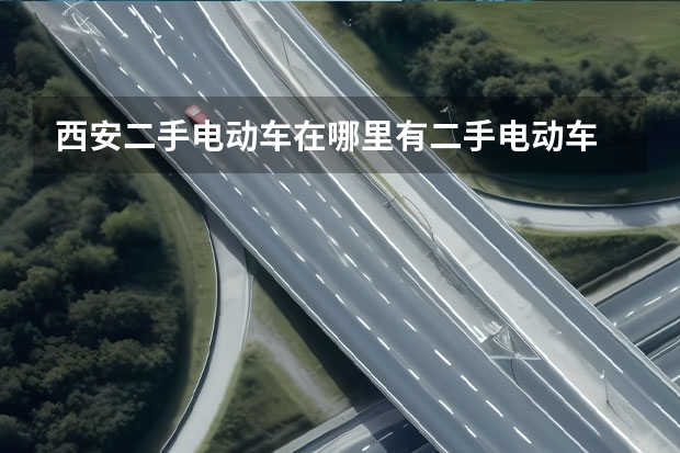 西安二手电动车在哪里有二手电动车