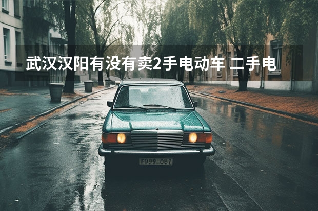 武汉汉阳有没有卖2手电动车 二手电动车