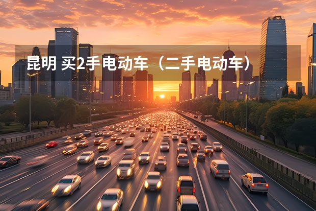 昆明 买2手电动车（二手电动车）