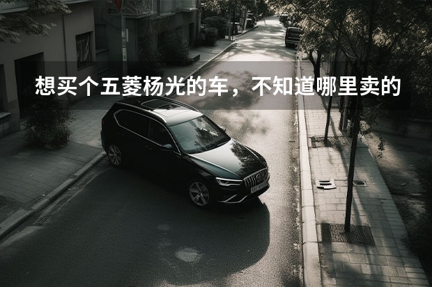 想买个五菱杨光的车，不知道哪里卖的价格低。