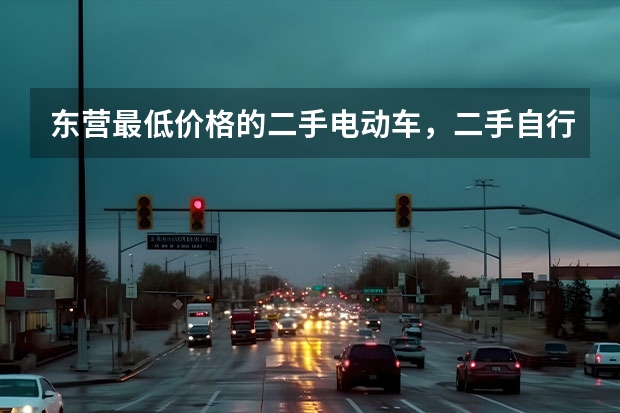 东营最低价格的二手电动车，二手自行车，二手助力车，二手摩托车是那有呀？ 电动汽车一般都卖价格
