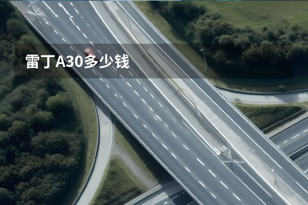 雷丁A30多少钱