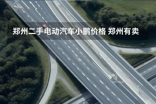 郑州二手电动汽车小鹏价格 郑州有卖自行车跟电动车的市场不?