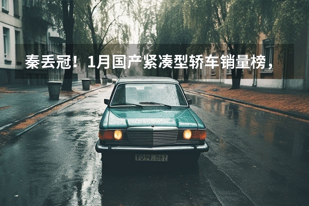 秦丢冠！1月国产紧凑型轿车销量榜，他们猛过比亚迪 2月汽车销量排行榜，吉利跃居第三，迈腾超雅阁夺冠B级车