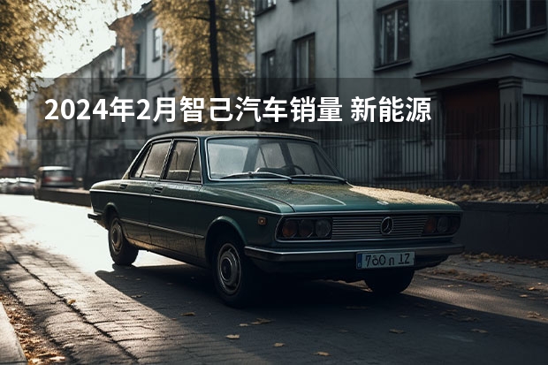 2024年2月智己汽车销量 新能源车企全年销量出炉，比亚迪年超300万辆“遥遥领先”
