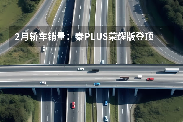 2月轿车销量：秦PLUS荣耀版登顶，E级、A6L双双前十（理想汽车下调2024年一季度销量预期 预计交付量76000-78000辆）