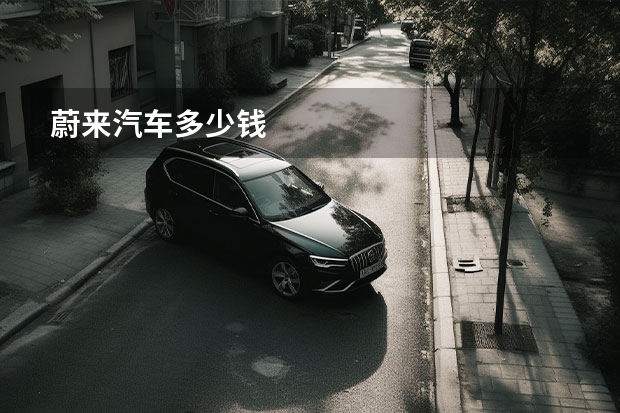 蔚来汽车多少钱