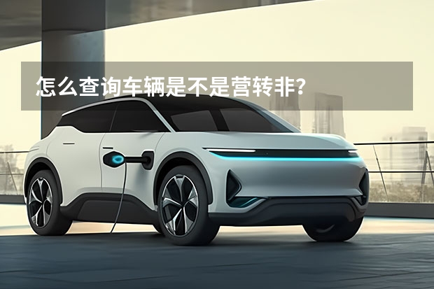 怎么查询车辆是不是营转非？