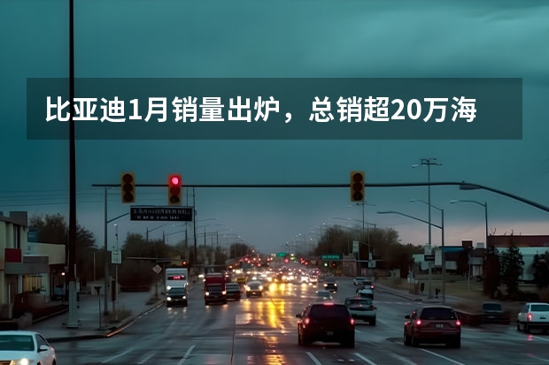 比亚迪1月销量出炉，总销超20万海洋网热卖，仰望U8火爆（视界观察｜2024年度车企“小目标”，销量翻番或可期？）