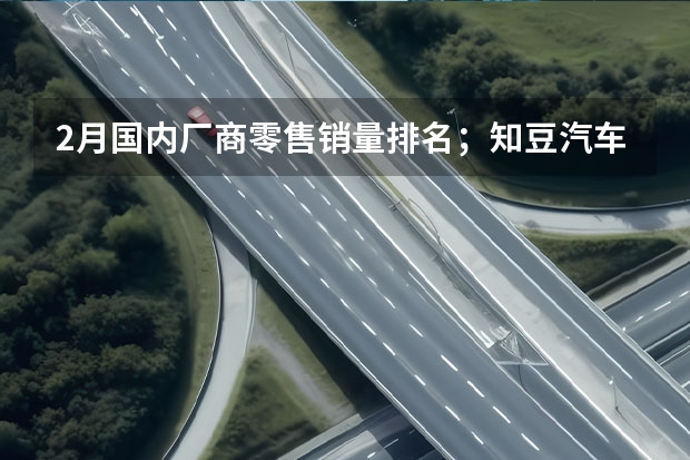 2月国内厂商零售销量排名；知豆汽车再复活...（2月售1448台，小鹏X9下滑四成多，断言遇冷却言之过早）