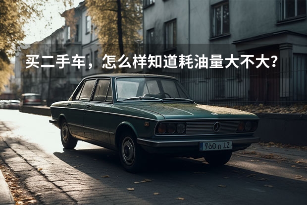 买二手车，怎么样知道耗油量大不大？