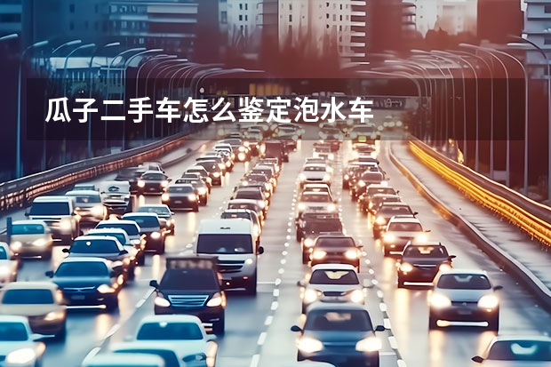 瓜子二手车怎么鉴定泡水车