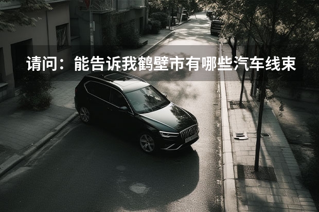 请问：能告诉我鹤壁市有哪些汽车线束公司？或者电器、摩托车、电动车线束生产公司吗？