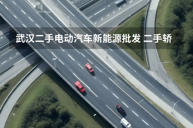 武汉二手电动汽车新能源批发 二手轿车市场