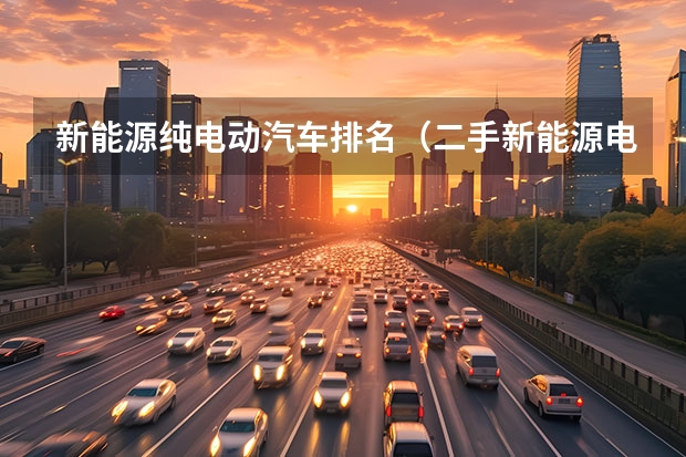 新能源纯电动汽车排名（二手新能源电动汽车的优缺点？）