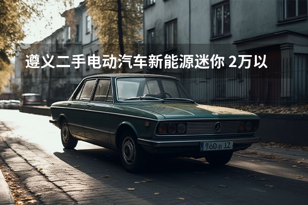 遵义二手电动汽车新能源迷你 2万以下新能源电动汽车