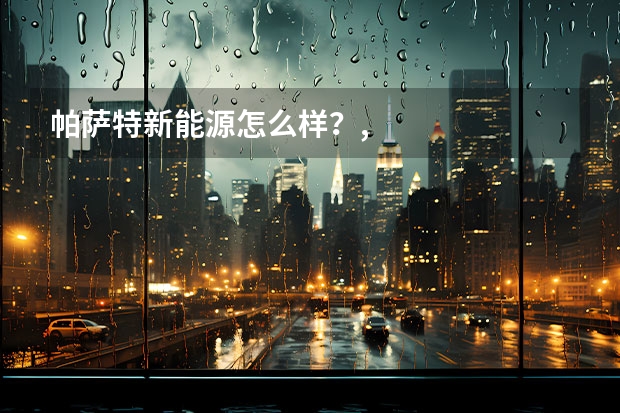 帕萨特新能源怎么样？,